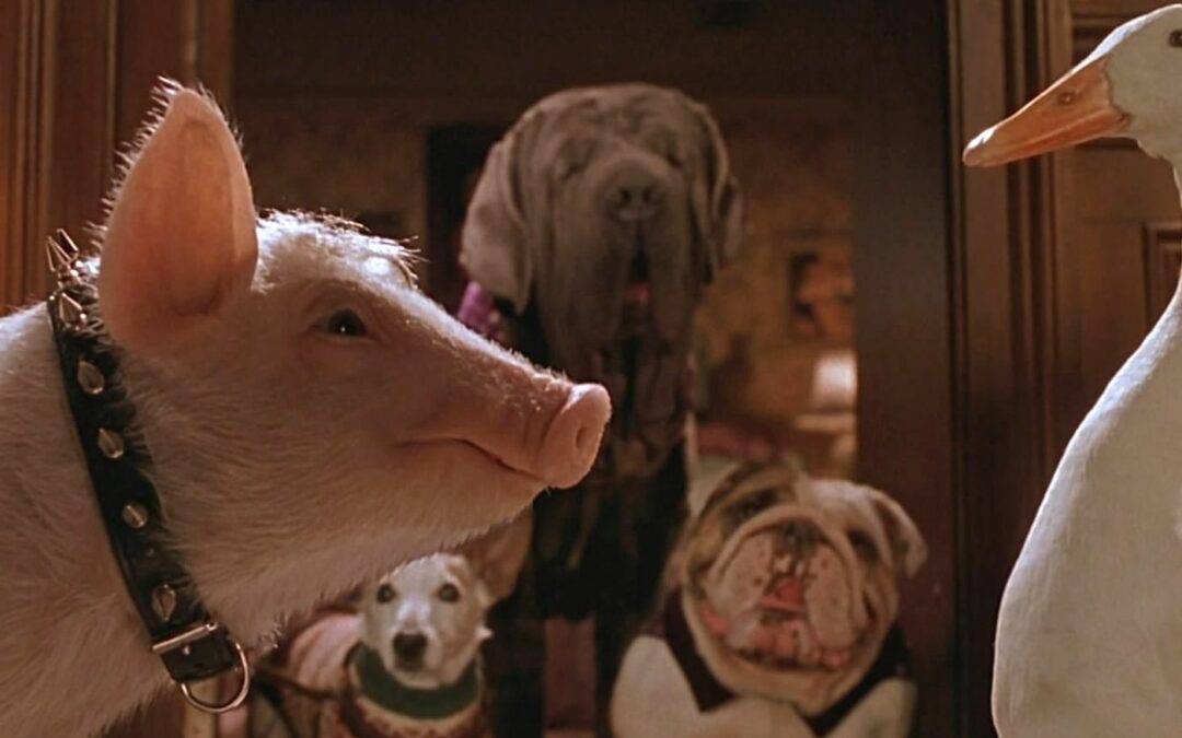 Babe, el cerdito en la ciudad (Babe, Pig in the City, 1998)
